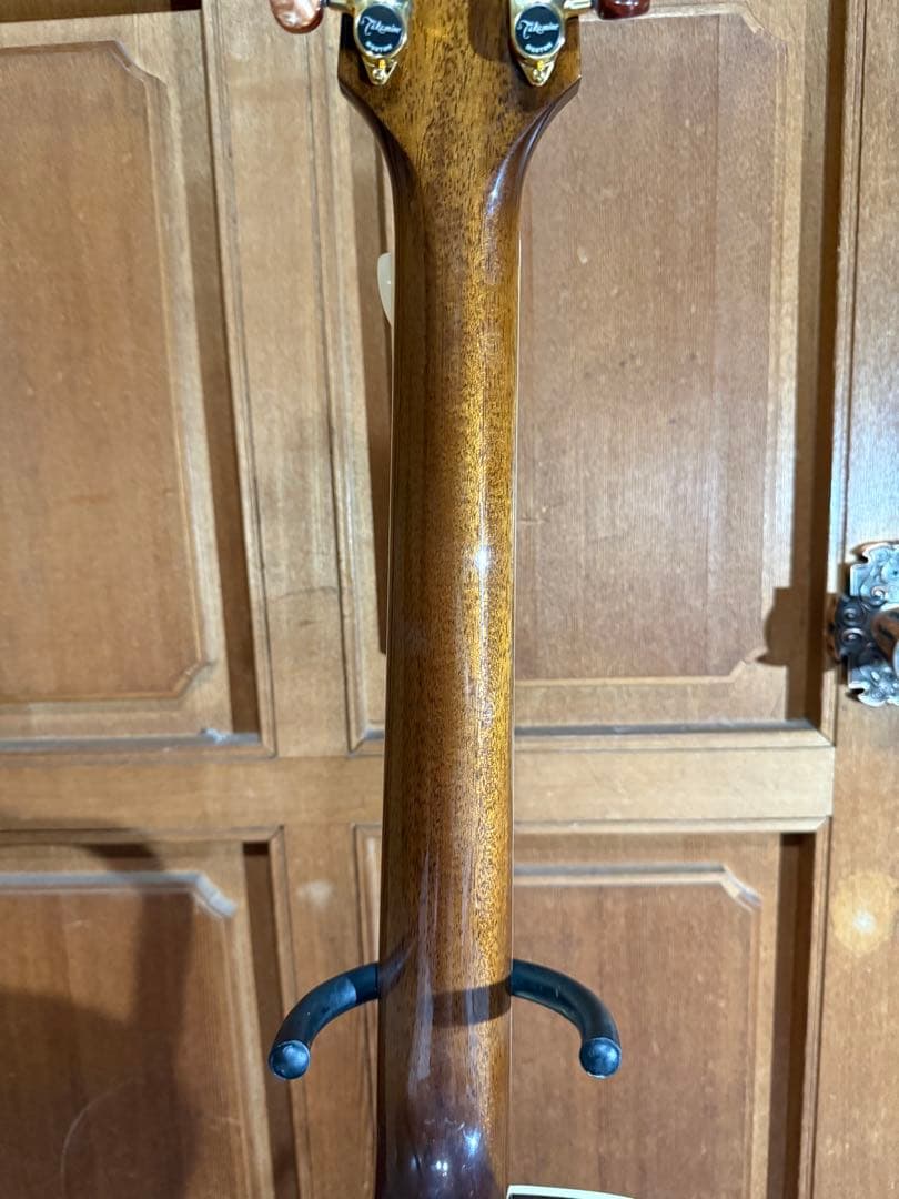 Takamine エレアコ DMP5OS