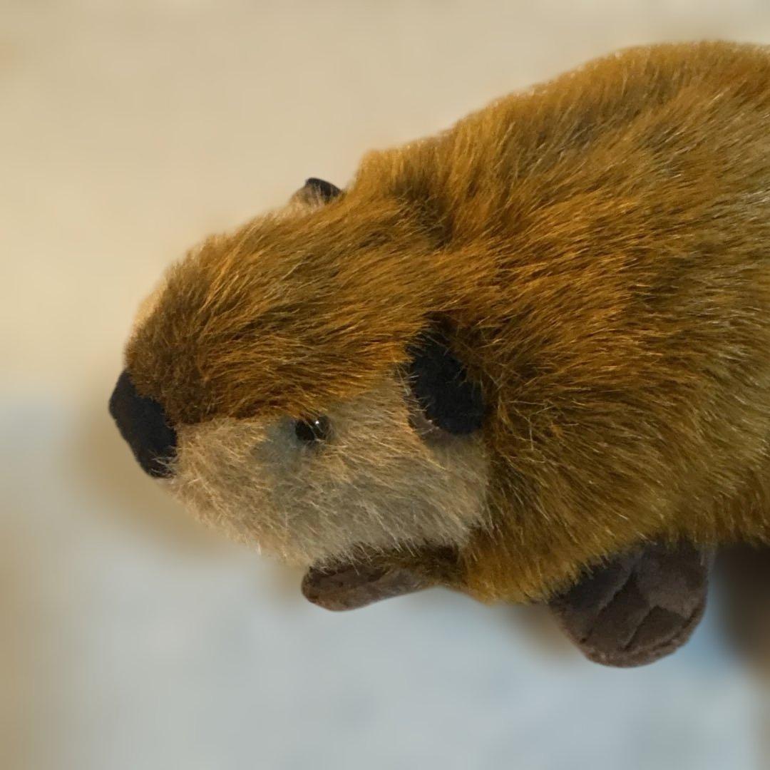 SUPER BEAVER 吉徳コラボ スーパービーバーちゃん