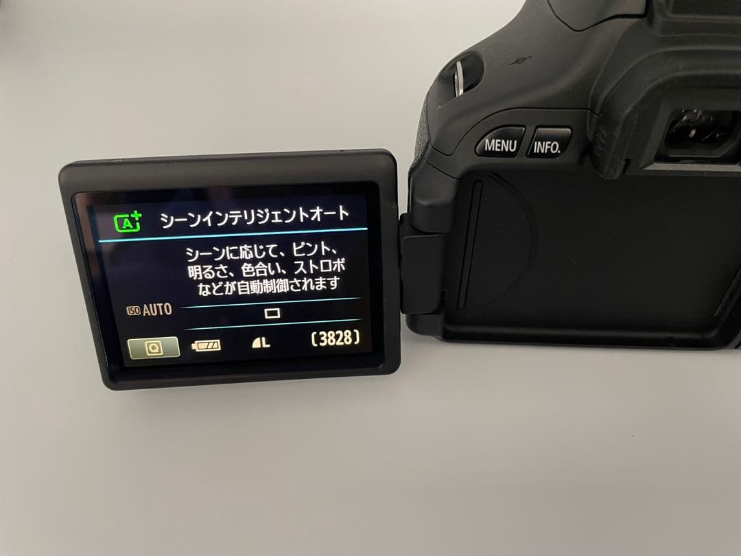 初心者向け Canon EOS Kiss X5 スマホ転送 卒業 入学 旅行