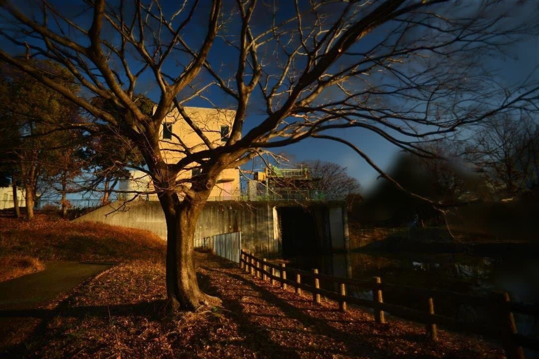 COSINA 20mm F3.8 MC MACRO　ニコンFマウント