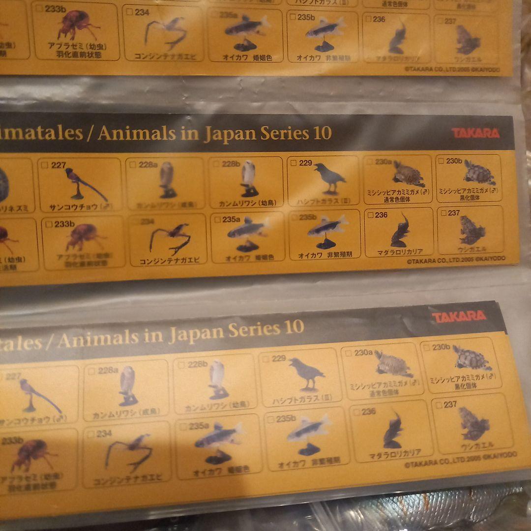 レア★タカラ★海洋堂★チョコQ★animal★series10★19種70点★