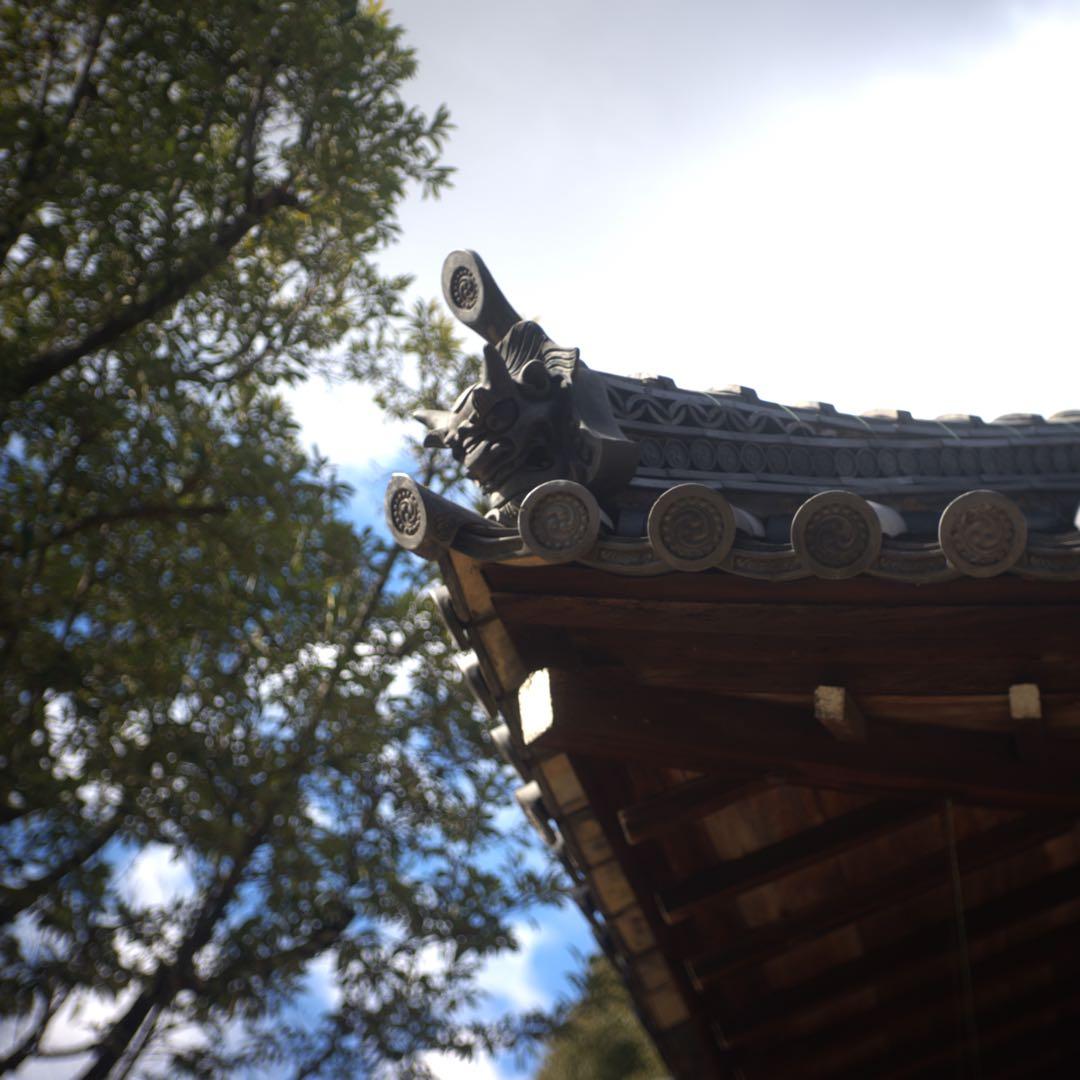 @フジ　FUJINON 45mm f1.9 銘レンズ　和製ズミクロン⁉️