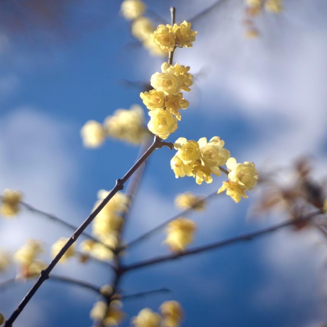 @フジ　FUJINON 45mm f1.9 銘レンズ　和製ズミクロン⁉️