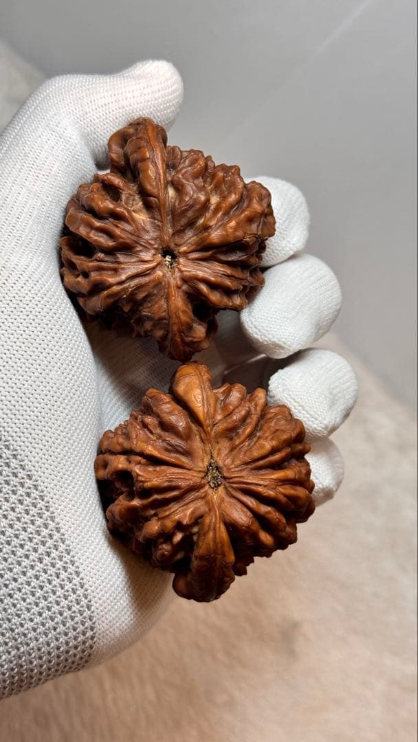 53龍鼎（自分で回した品）