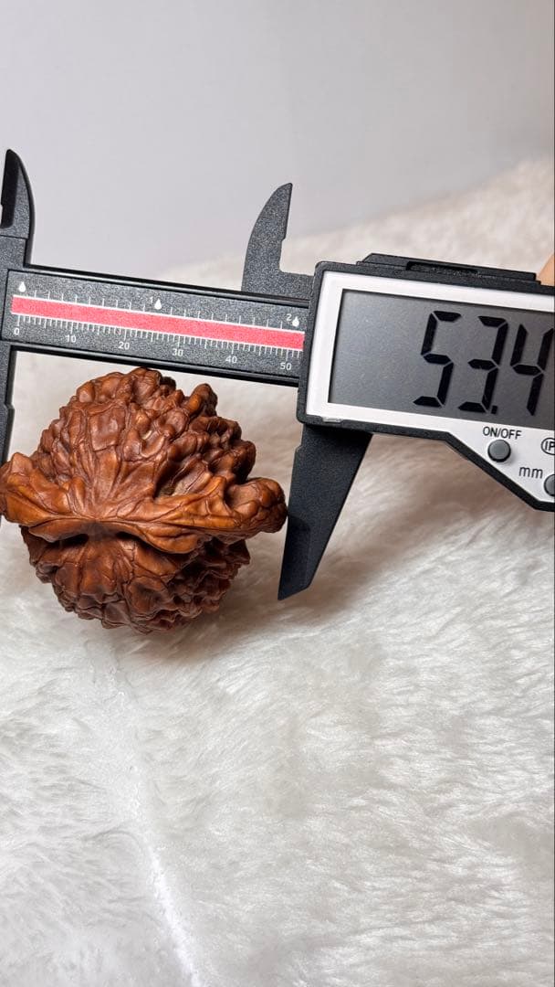 53龍鼎（自分で回した品）