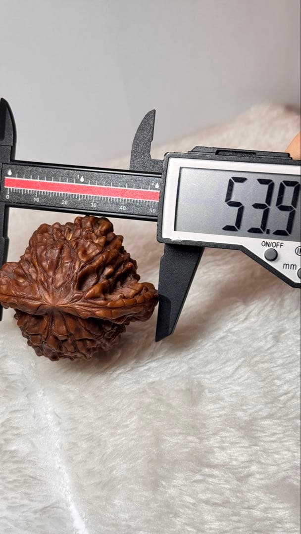 53龍鼎（自分で回した品）