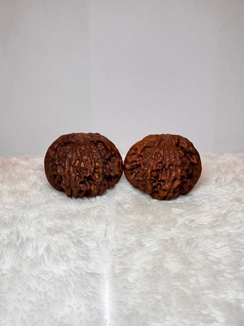 53龍鼎（自分で回した品）