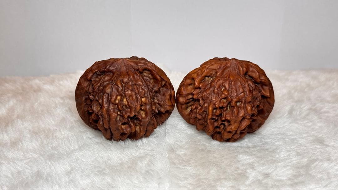 53龍鼎（自分で回した品）