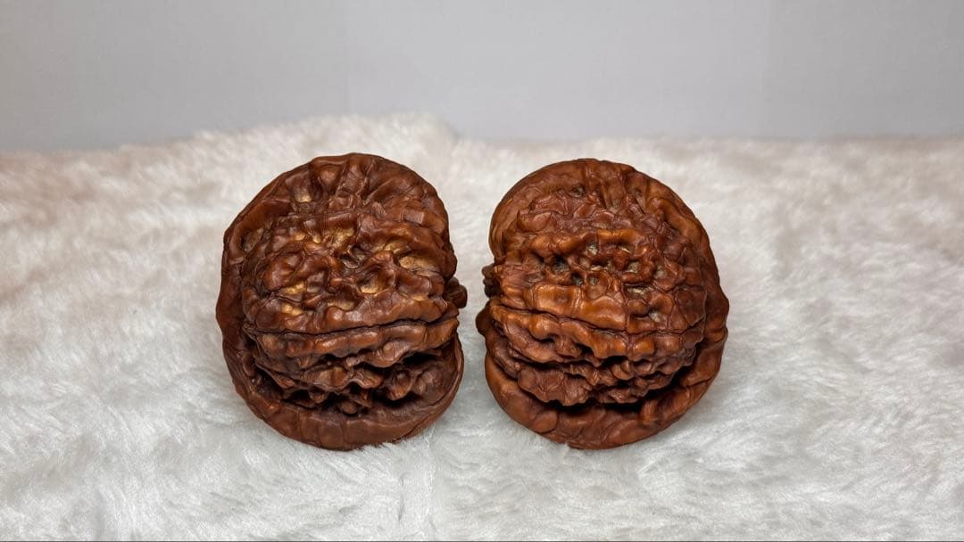 53龍鼎（自分で回した品）