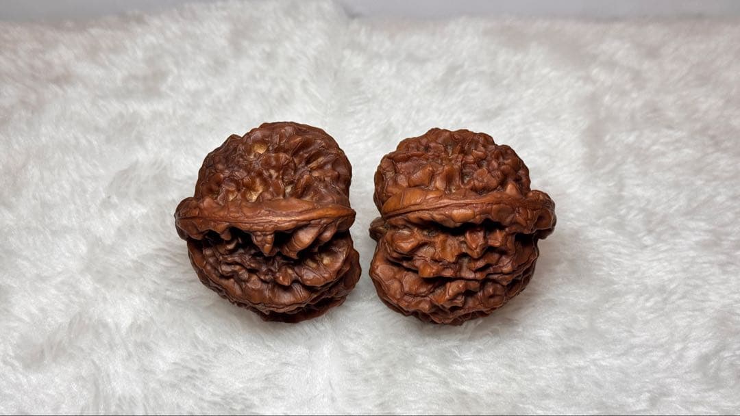 53龍鼎（自分で回した品）