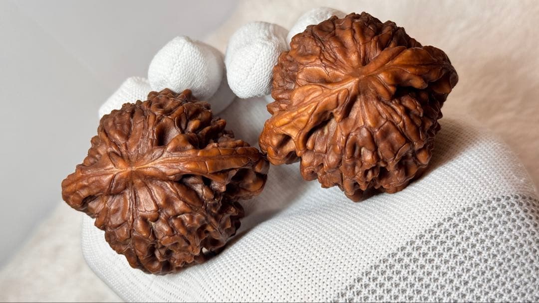 53龍鼎（自分で回した品）