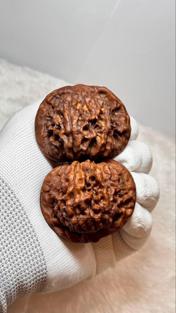 53龍鼎（自分で回した品）