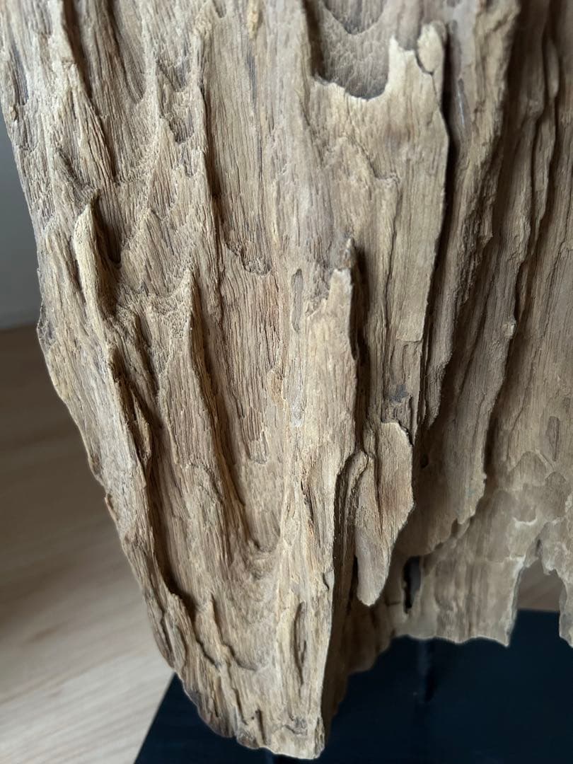 ウッドオブジェ　コンテンポラリーアート　シュルレアリスム　流木アート　2点セット