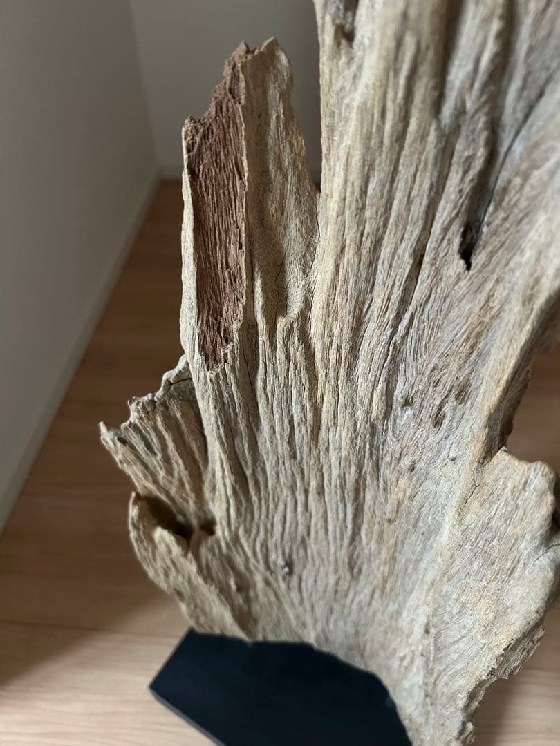 ウッドオブジェ　コンテンポラリーアート　シュルレアリスム　流木アート　2点セット