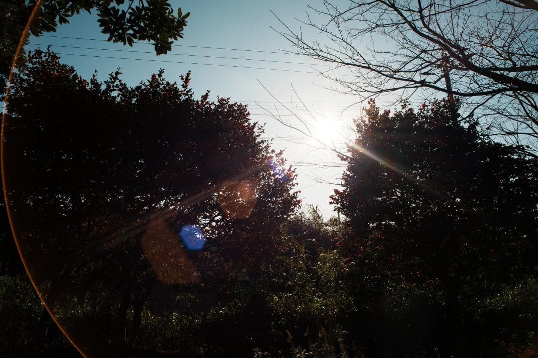 【整備＆テスト】オリンパス Zuiko auto-w 24mm F2.8 884