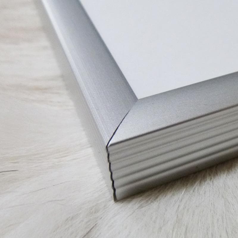 額装品/The Bicentennial（ヒロ ヤマガタ）