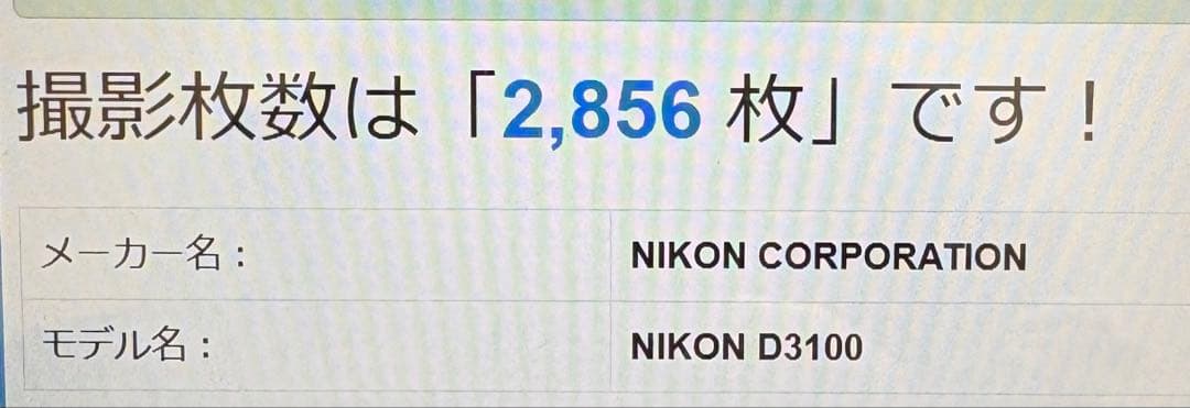 ✨美品✨Nikon D3100✨ダブルレンズ✨少シャッター✨スポーツ観戦に