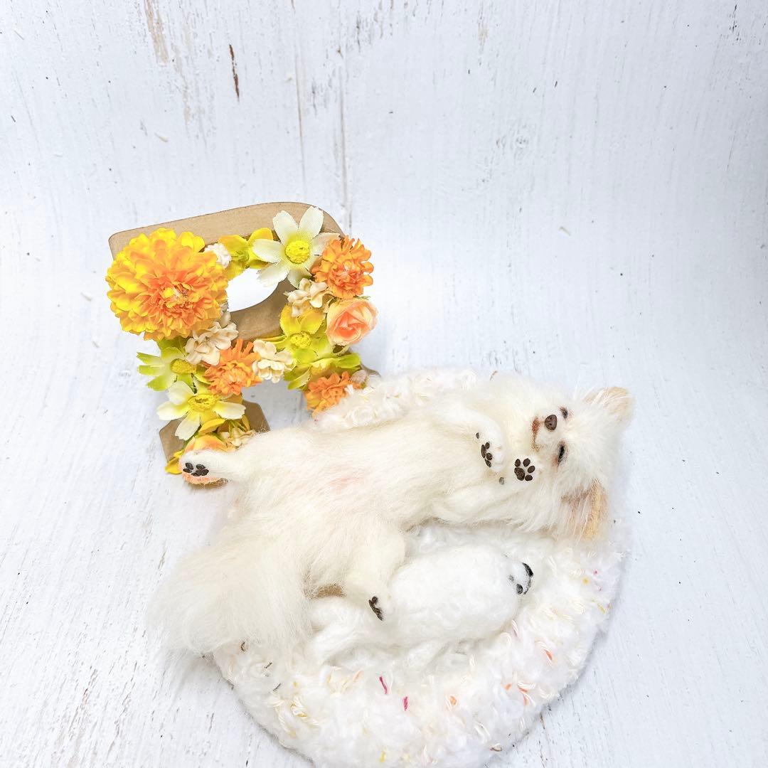 羊毛フェルト 犬 チワワ