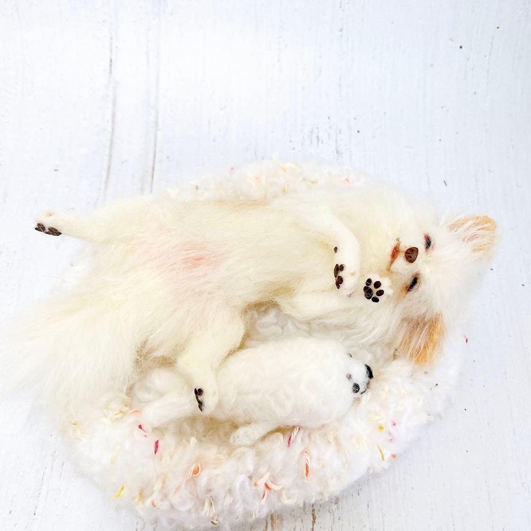 羊毛フェルト 犬 チワワ