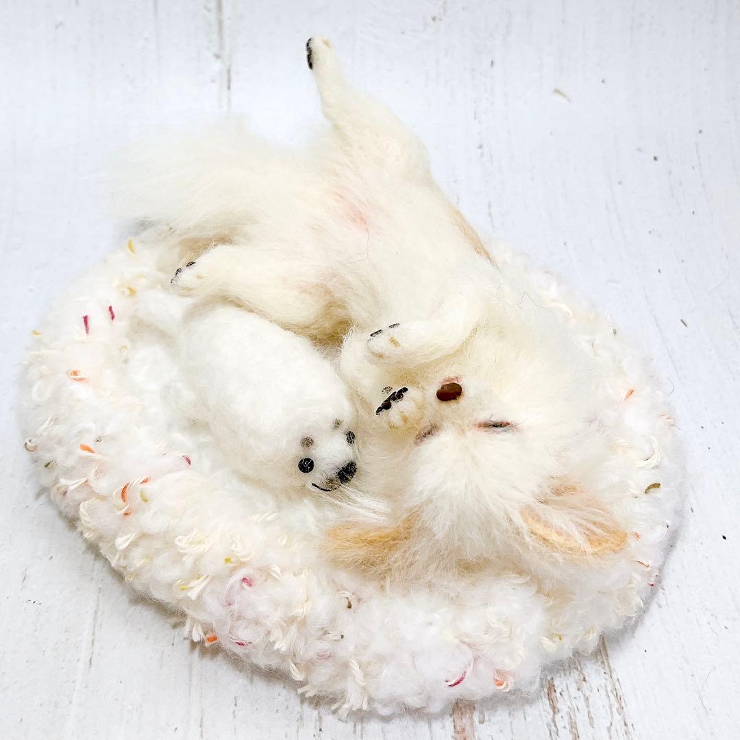 羊毛フェルト 犬 チワワ