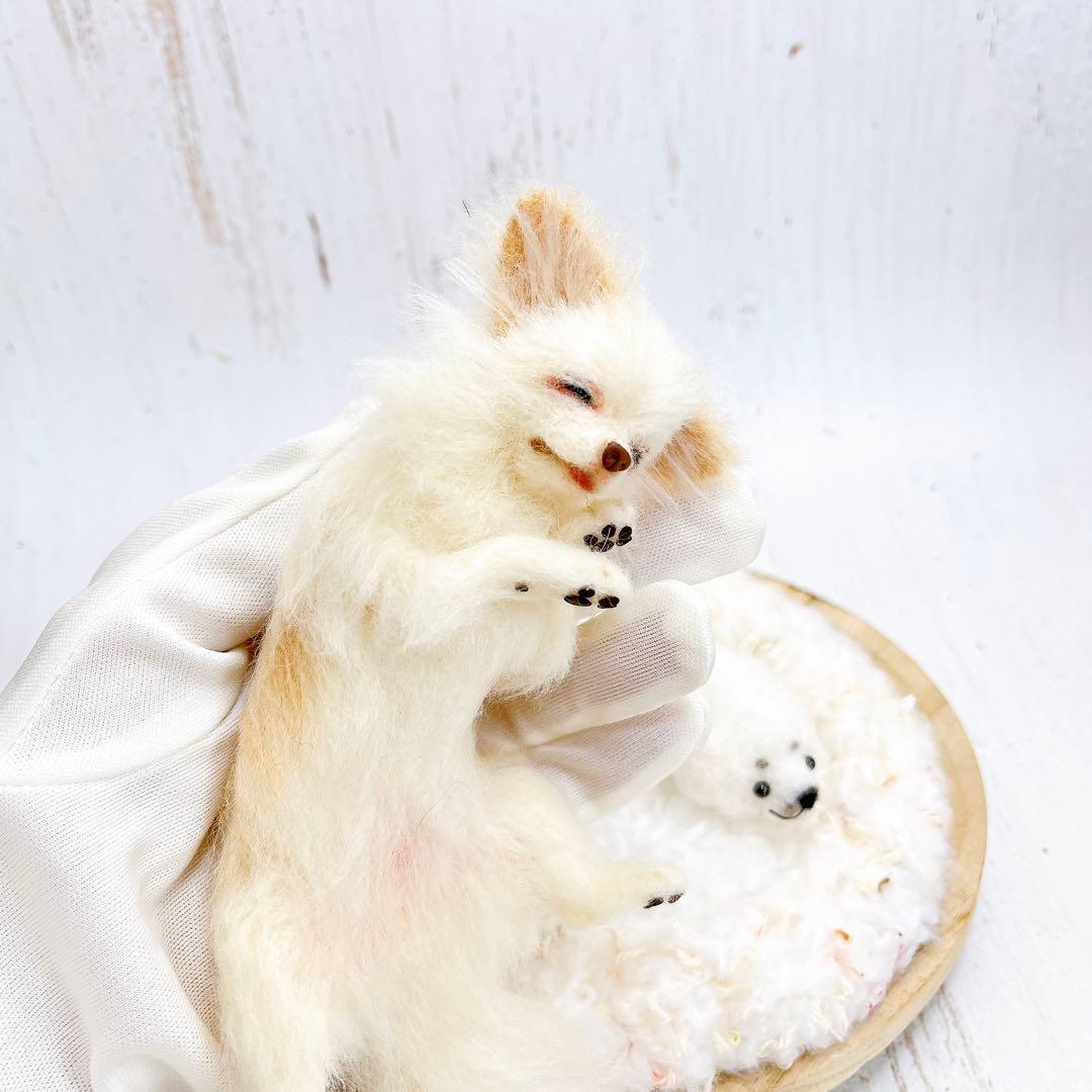 羊毛フェルト 犬 チワワ
