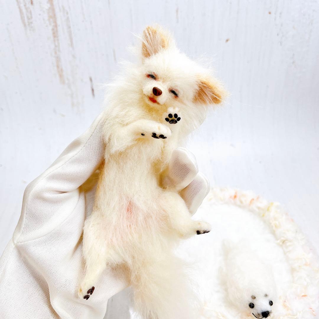 羊毛フェルト 犬 チワワ