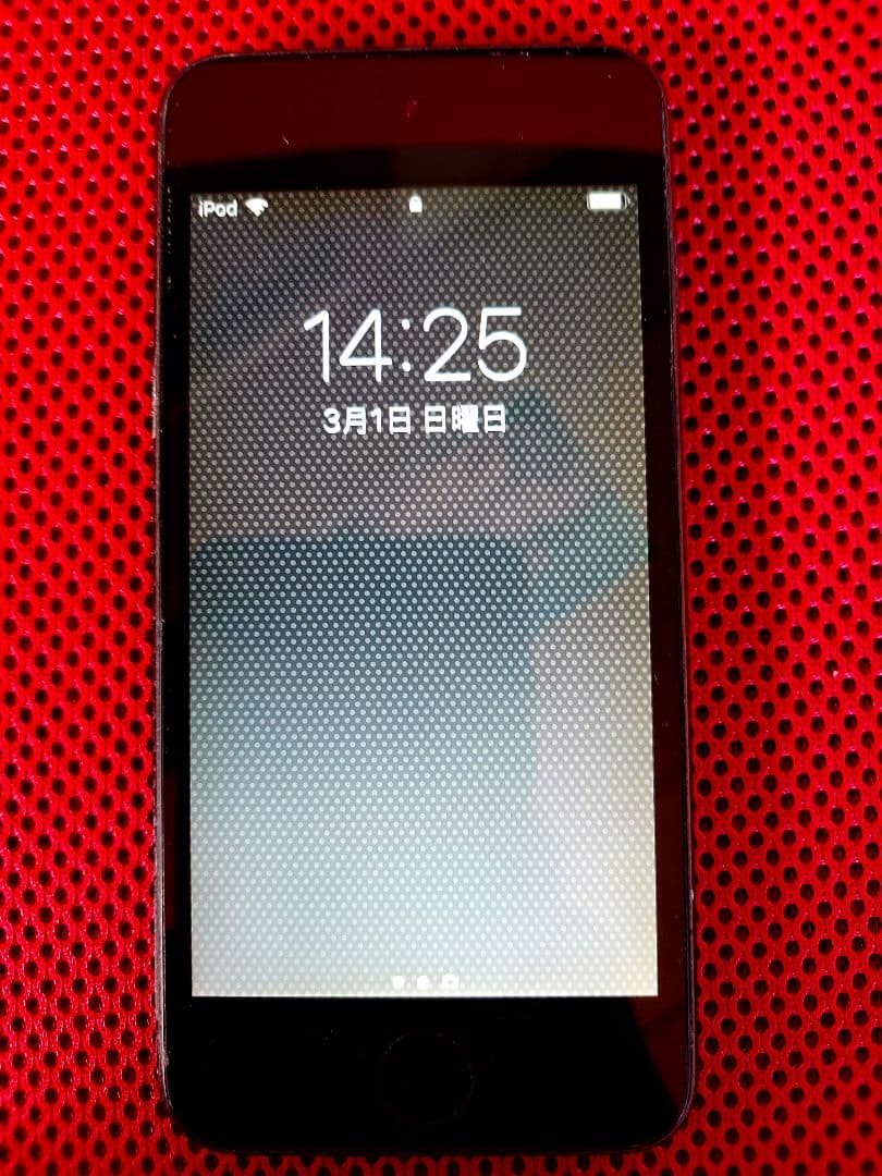 Apple iPod touch (第6世代) 128GB スペースグレー