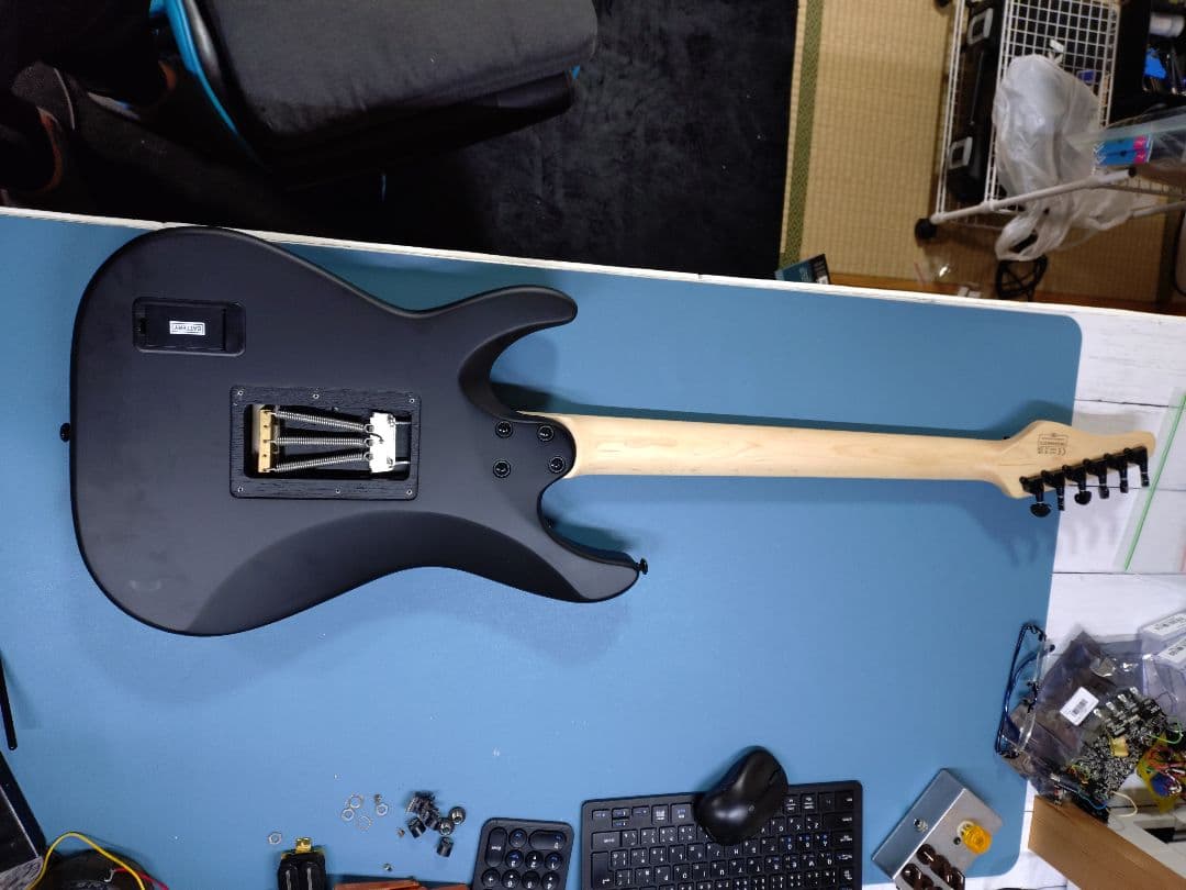 え*ぬ様 SCHECTER Sun Valley Super Shredder