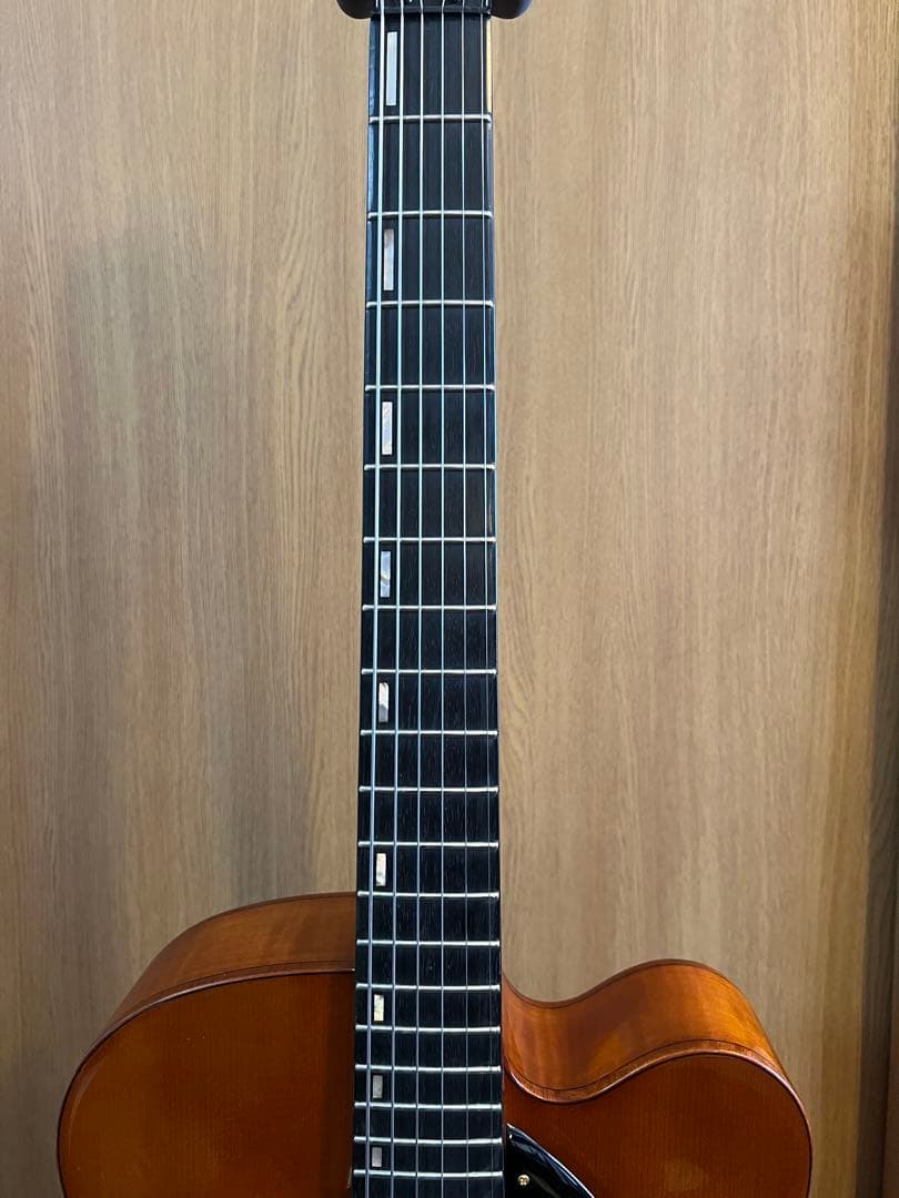 アイバニーズ　フルアコ　AFC151