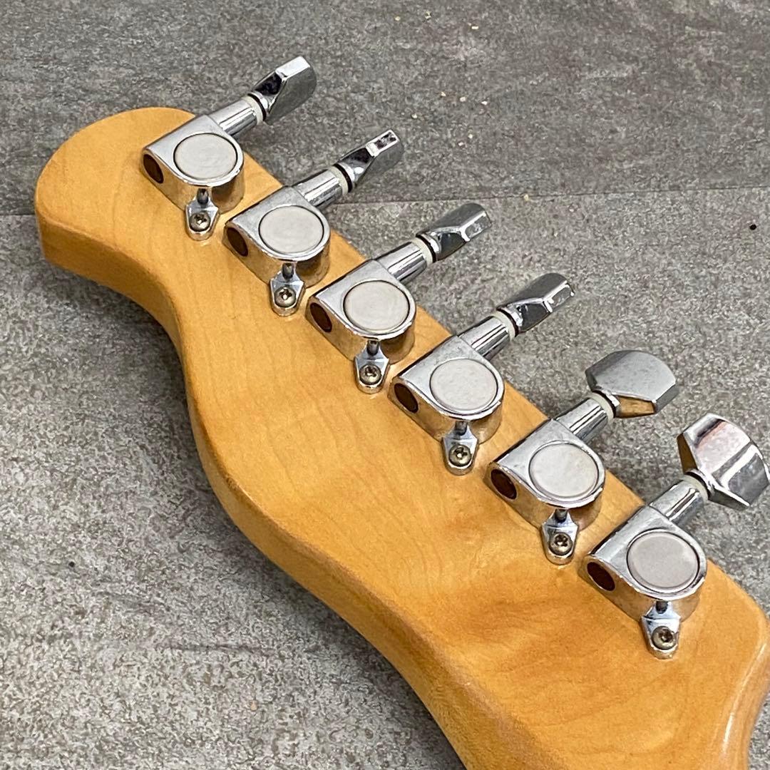 Bacchus UniverseSeries エレキギター テレキャス B207