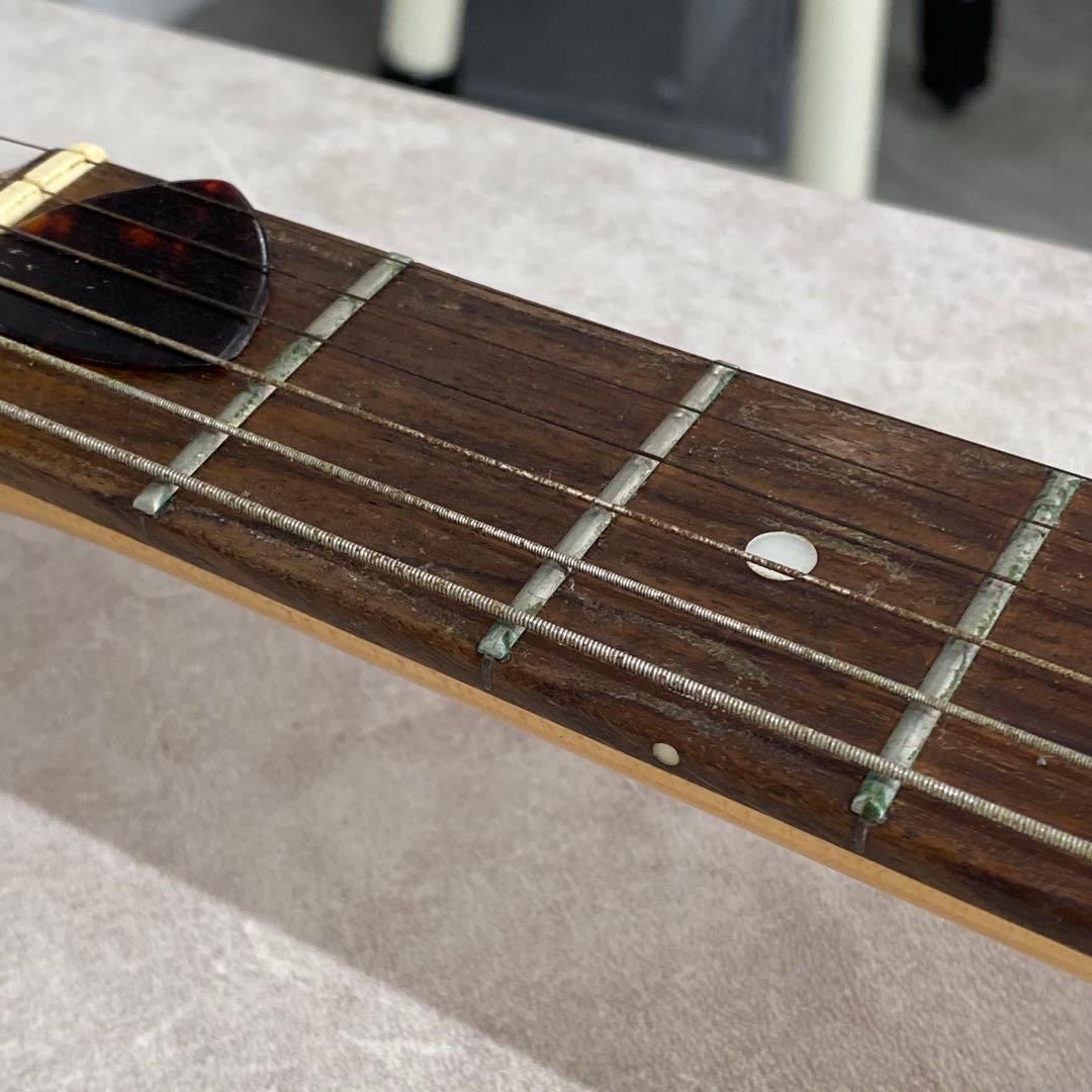 Bacchus UniverseSeries エレキギター テレキャス B207