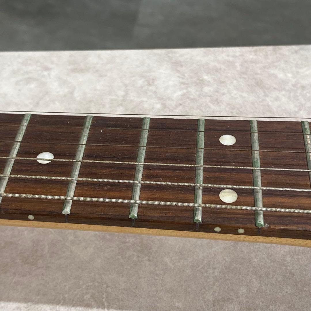 Bacchus UniverseSeries エレキギター テレキャス B207