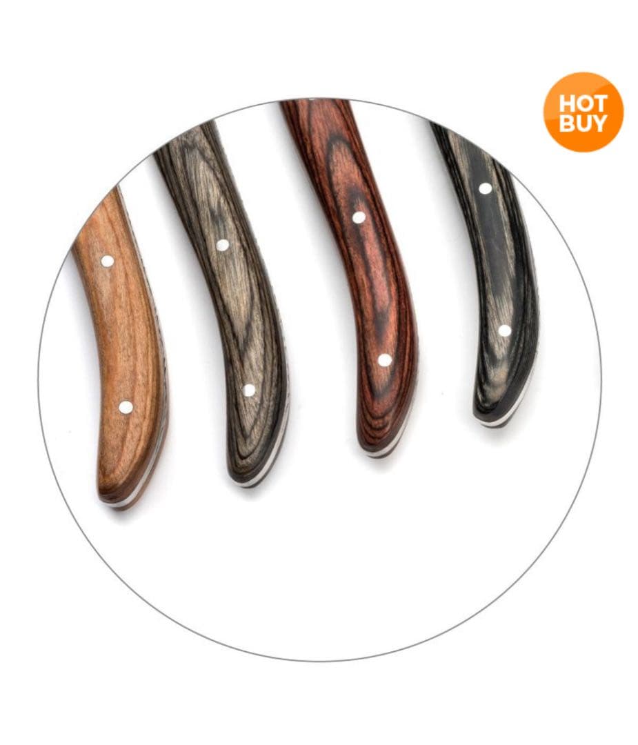 新品 Lou Laguiole ル ライヨール ステーキナイフ 6本セット