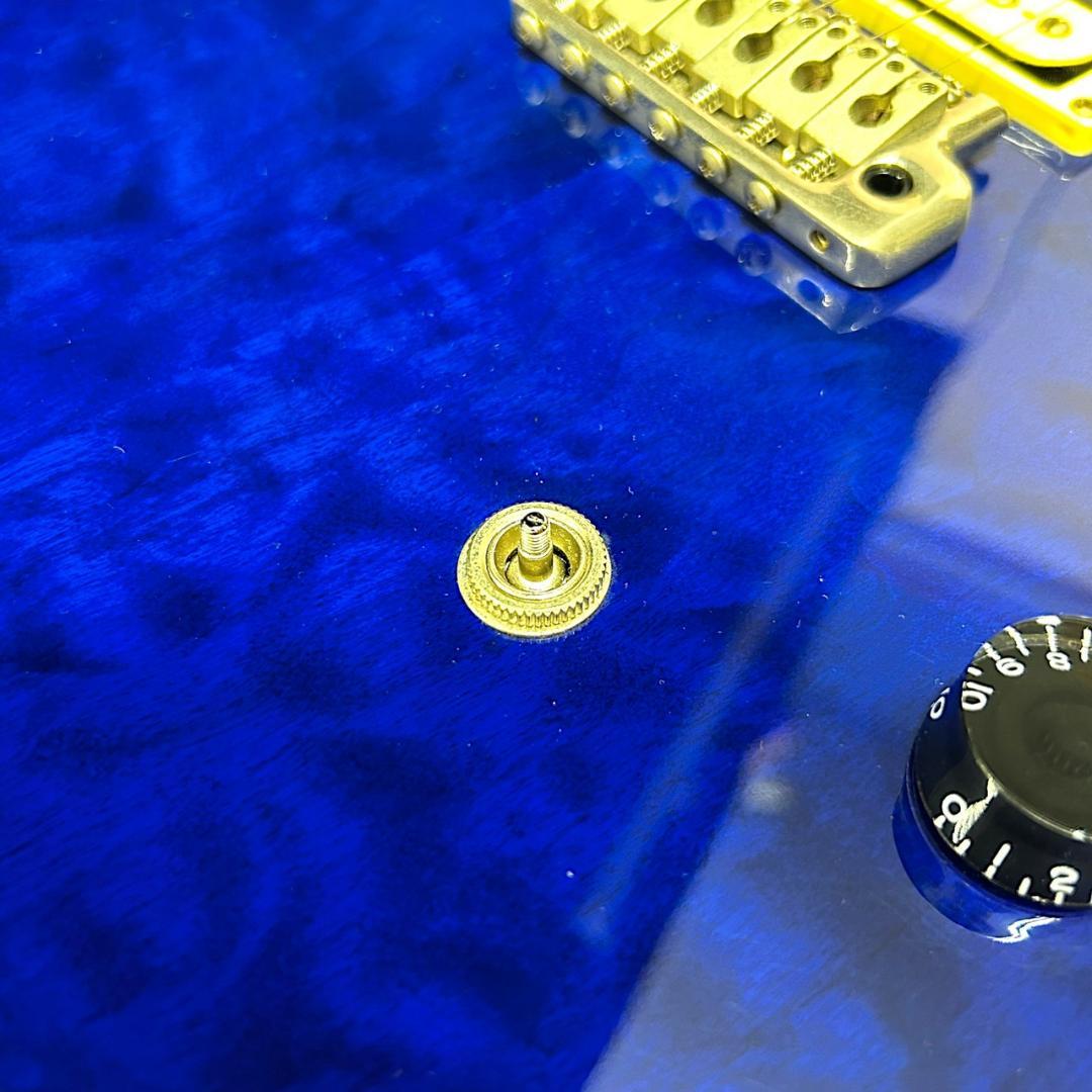 ギター Paul Reed Smith PRS SE Custom 24