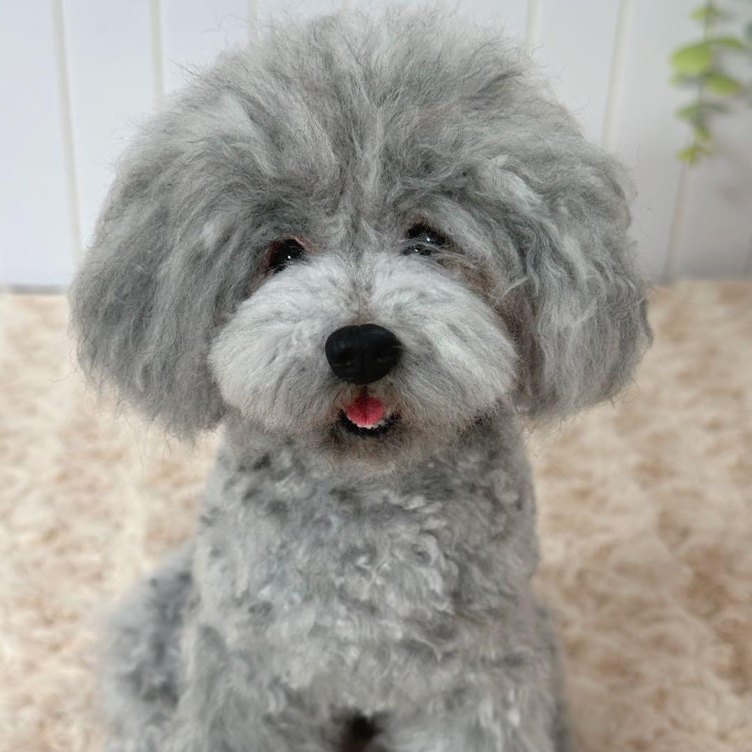 ＊羊毛フェルト＊うちの子オーダー