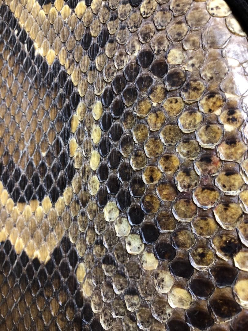 飛*騨様 三味線 ヘビ皮 3弦　中古品