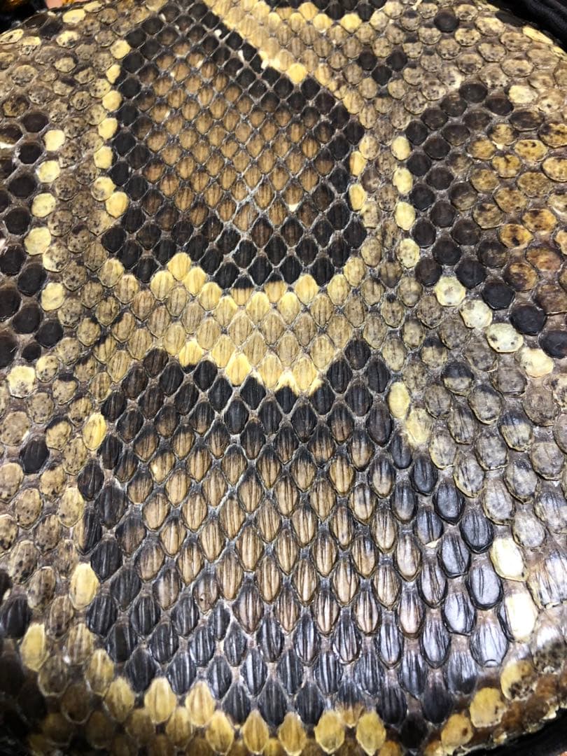 飛*騨様 三味線 ヘビ皮 3弦　中古品