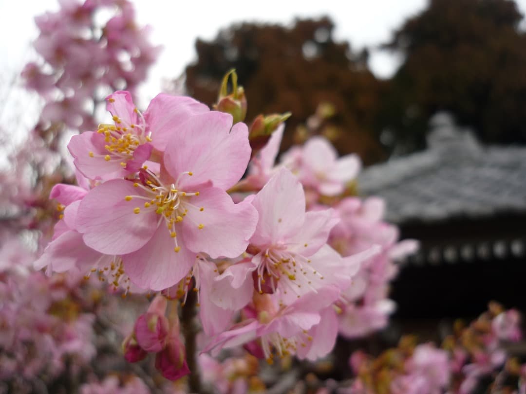 実写美⭕️【動作確認済】Panasonic LUMIX DMC-FS3 シルバー