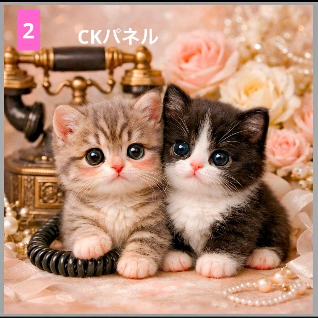 フラットポーチ1100円♥6重ガーゼハンカチ550円♥オーダー受け付けページ♥猫