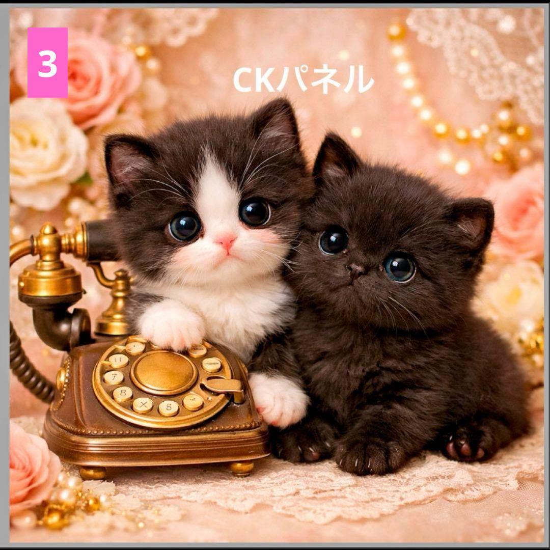 フラットポーチ1100円♥6重ガーゼハンカチ550円♥オーダー受け付けページ♥猫