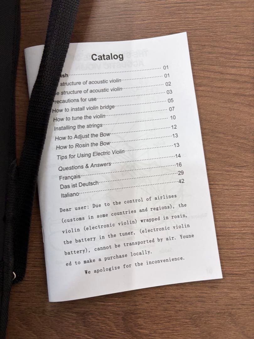 ◇Silvio エレクトリックバイオリン