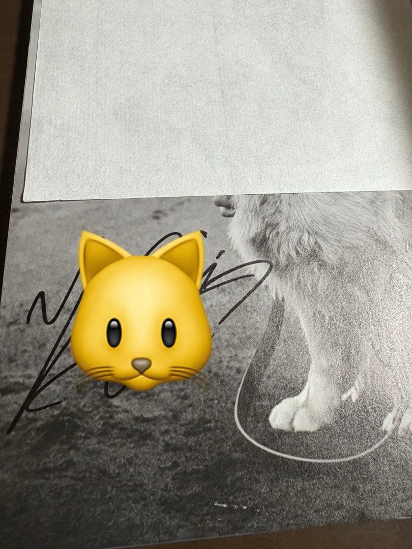 岩瀬洋志 写真集 サイン入り