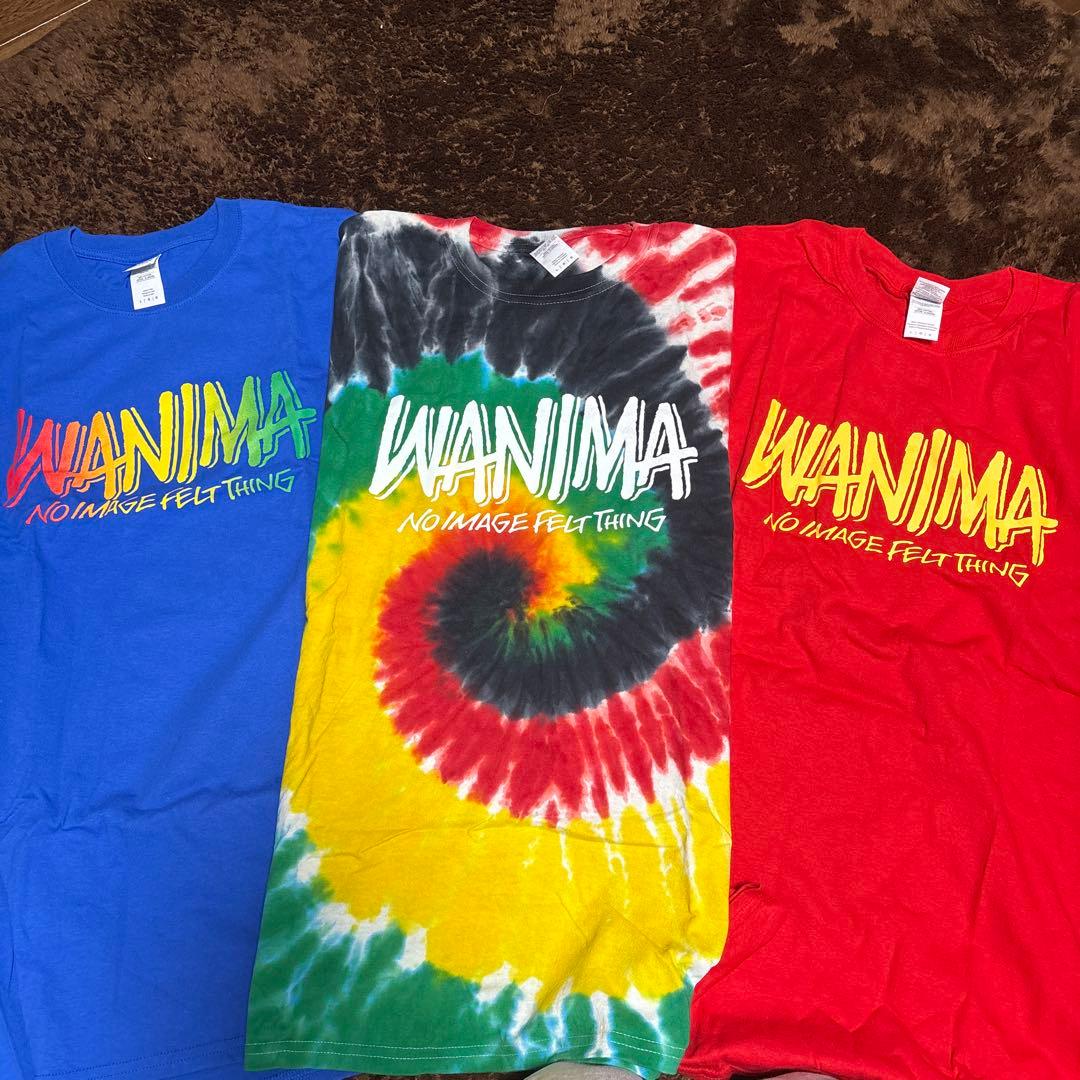 WANIMA ツアーTシャツ3枚セット + キーホルダー