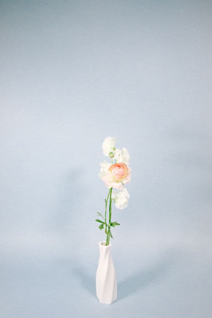 フィルムカメラ Nikon F3HP + Ai-S 50mm F1.4
