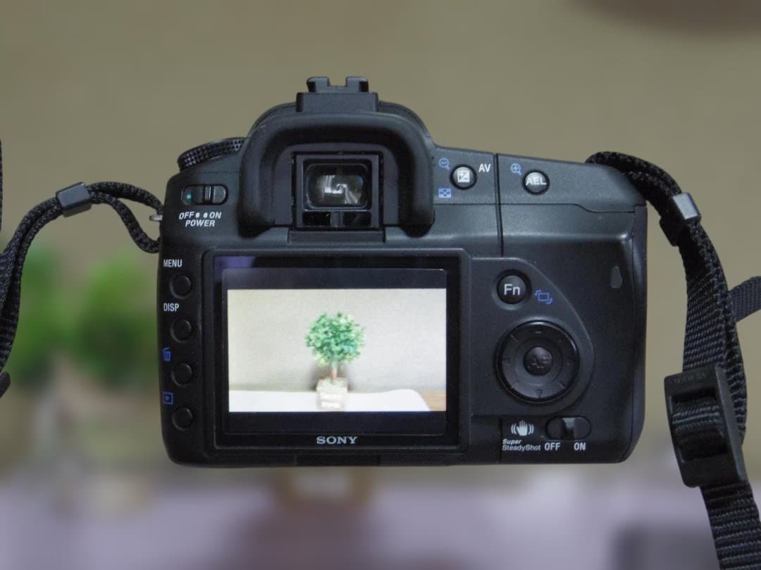 SONY　α200　標準レンズ　電池+充電器　撮影可能