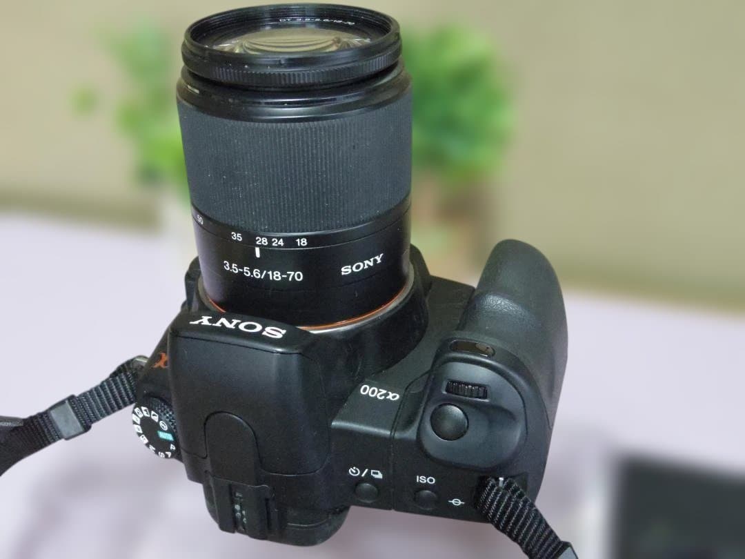 SONY　α200　標準レンズ　電池+充電器　撮影可能