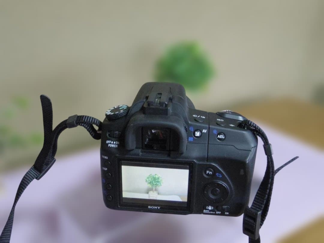 SONY　α200　標準レンズ　電池+充電器　撮影可能