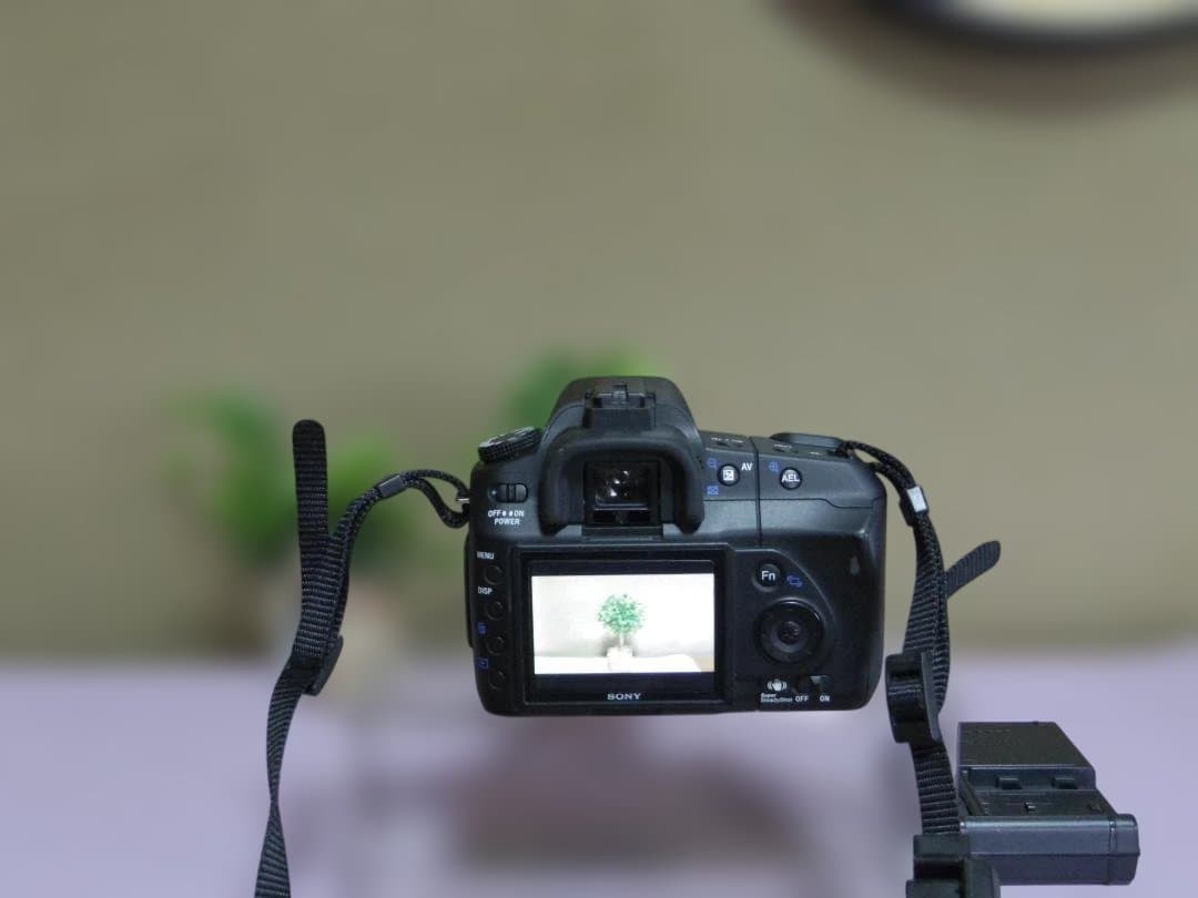 SONY　α200　標準レンズ　電池+充電器　撮影可能