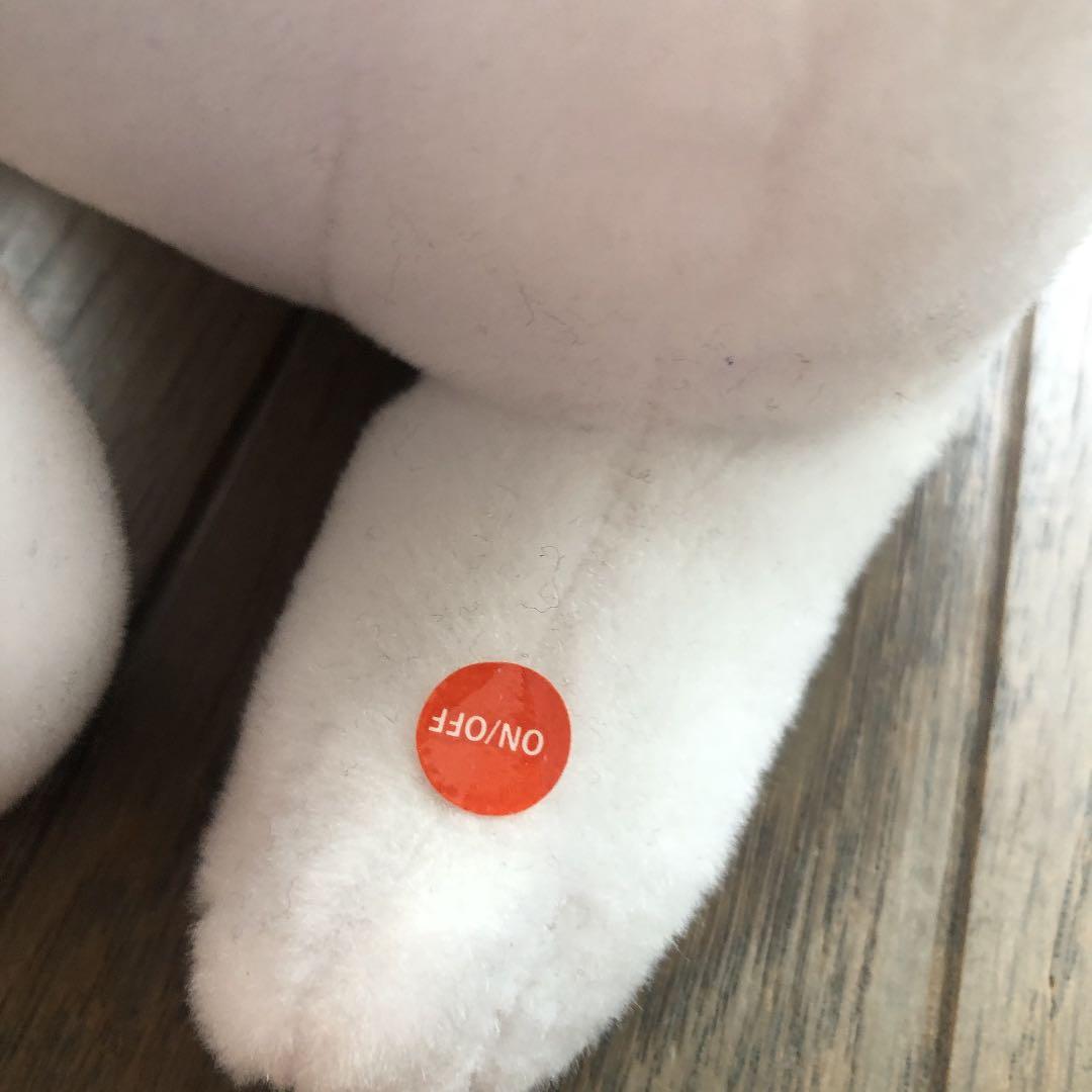 喋るお父さん犬　可愛い❗️