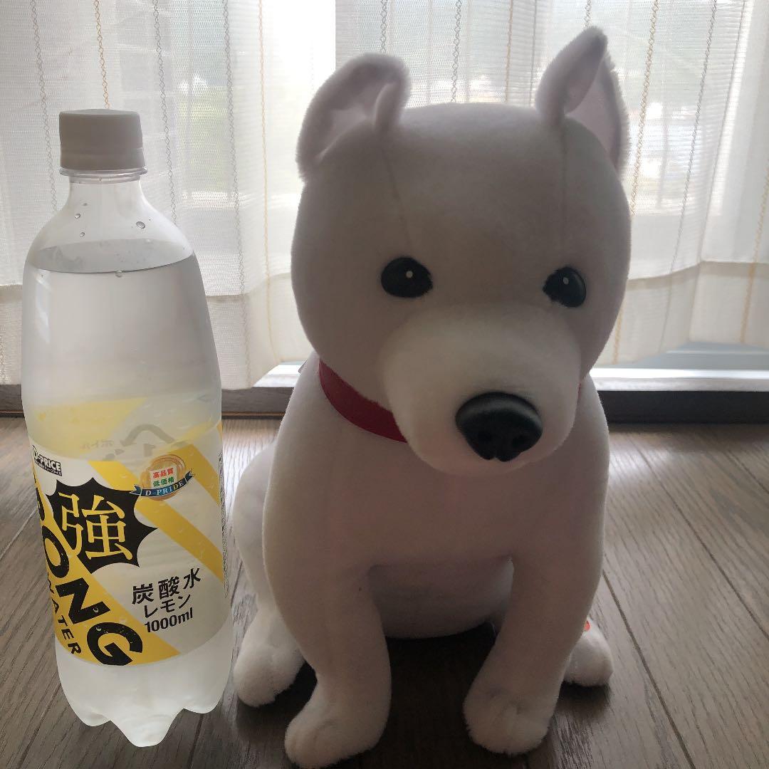 喋るお父さん犬　可愛い❗️